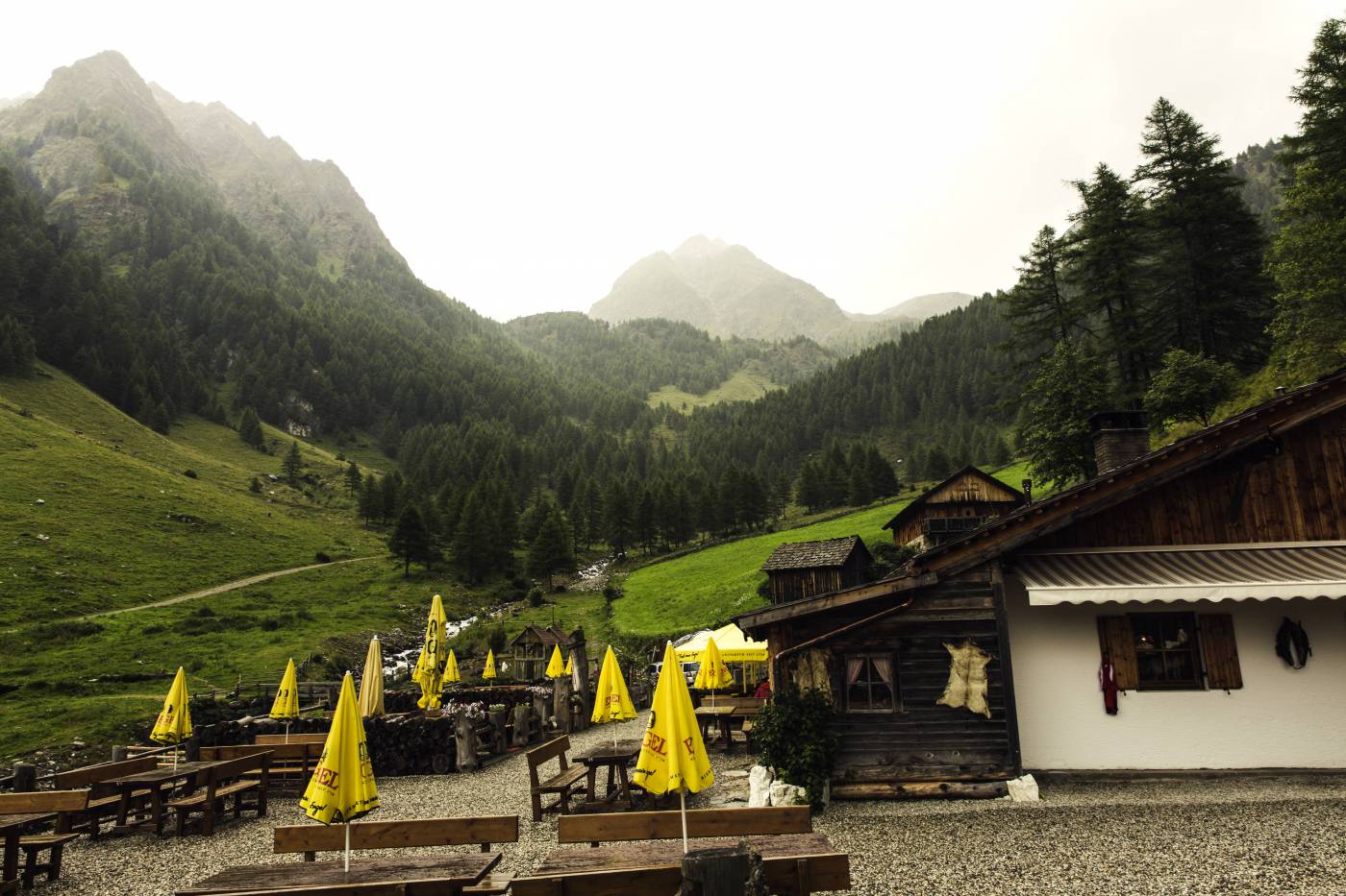 alpine mountain restaurant/ picture
