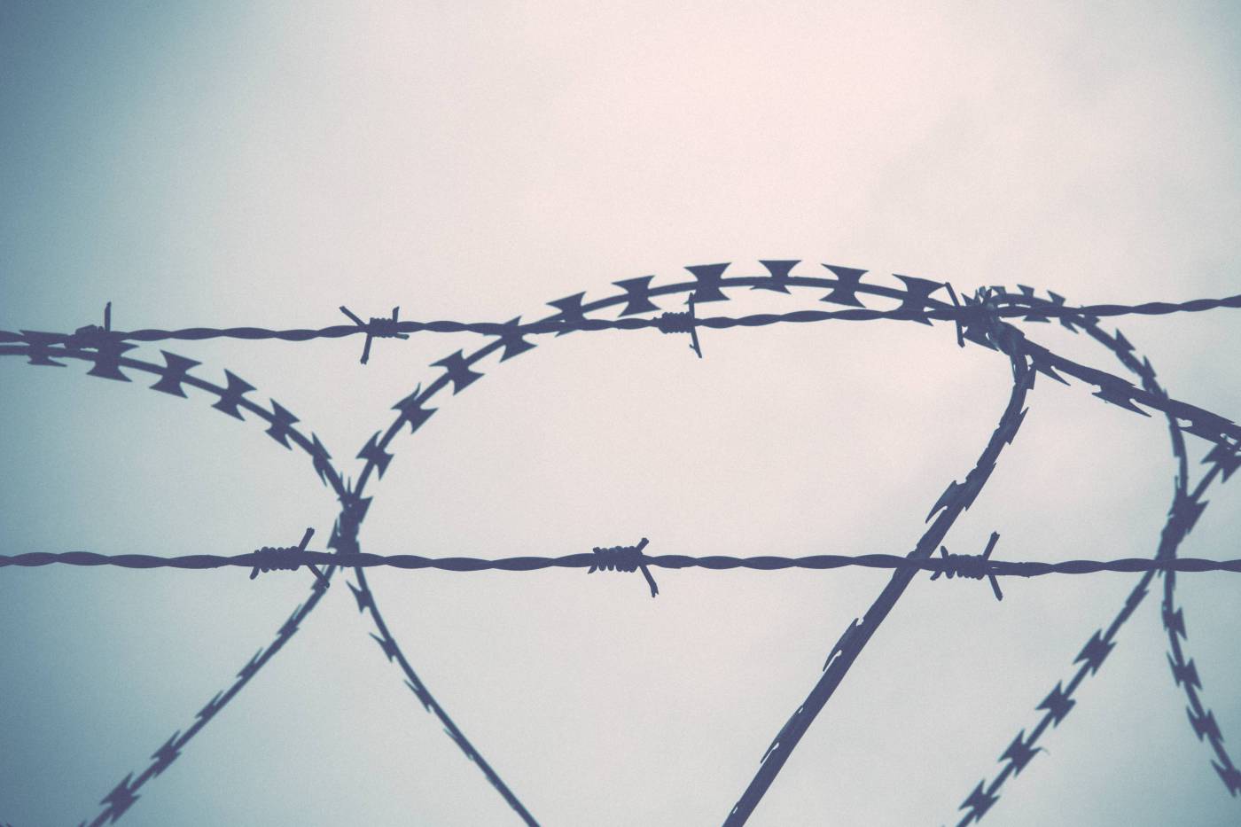 barbed wire barbwire/ picture