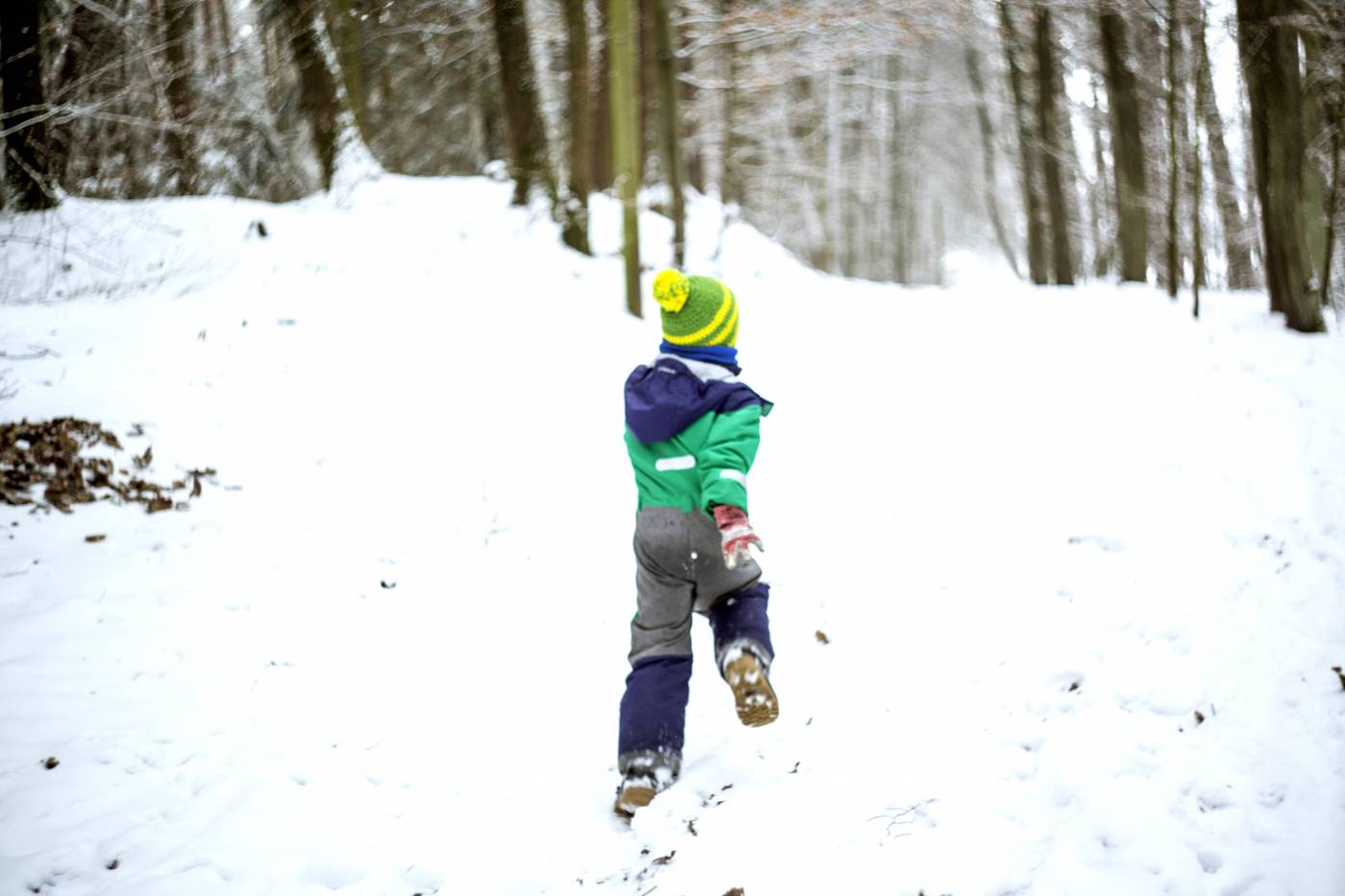 boy discover forest winter/ picture