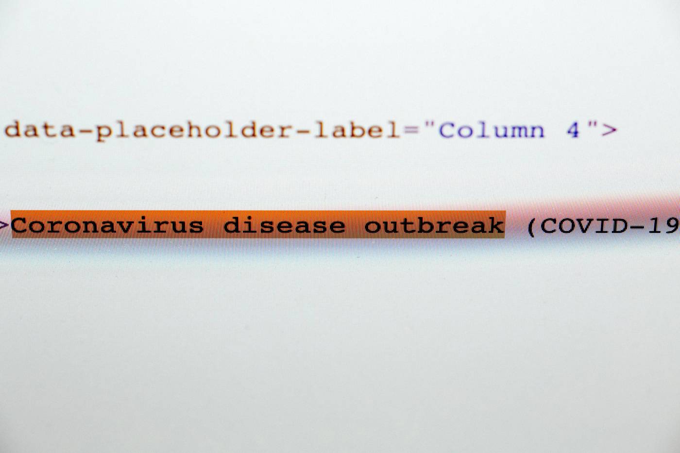 corona virus pandemic disease/ picture