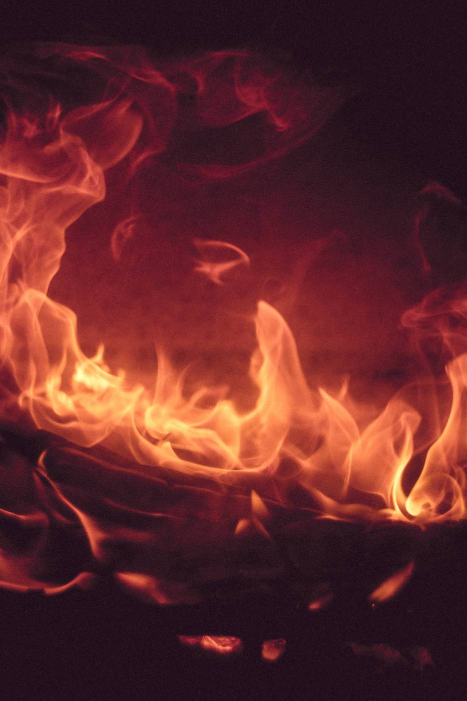 flame campfire bonfire/ picture