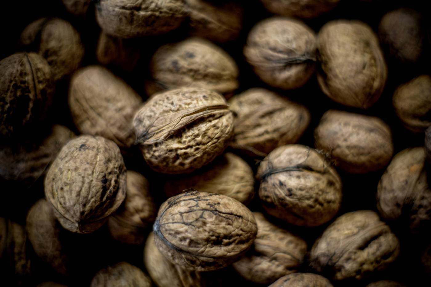 fresh bio crop walnut/ picture