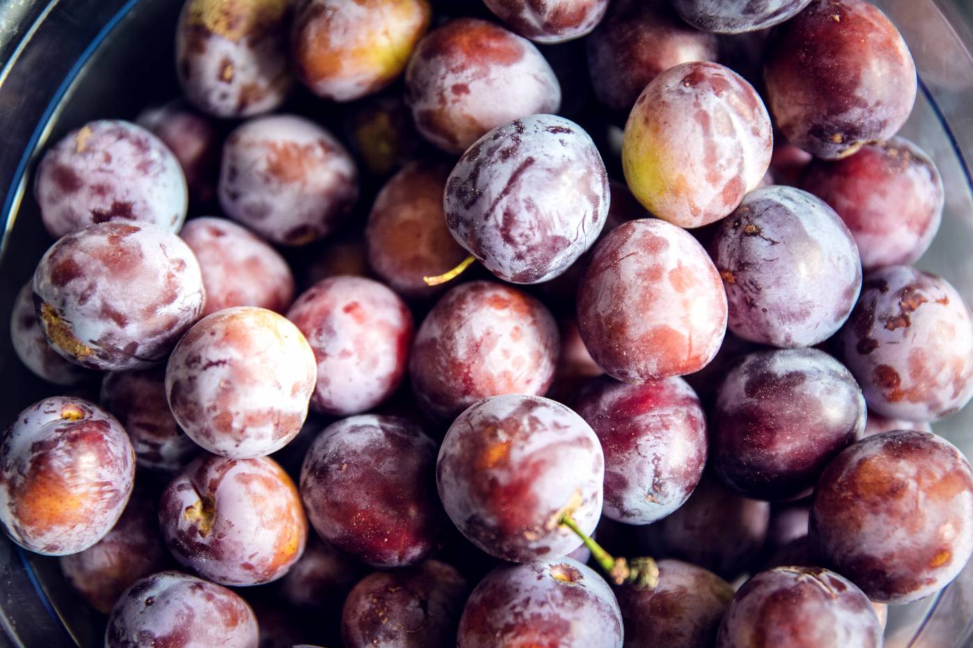 fresh bio plums prune/ picture