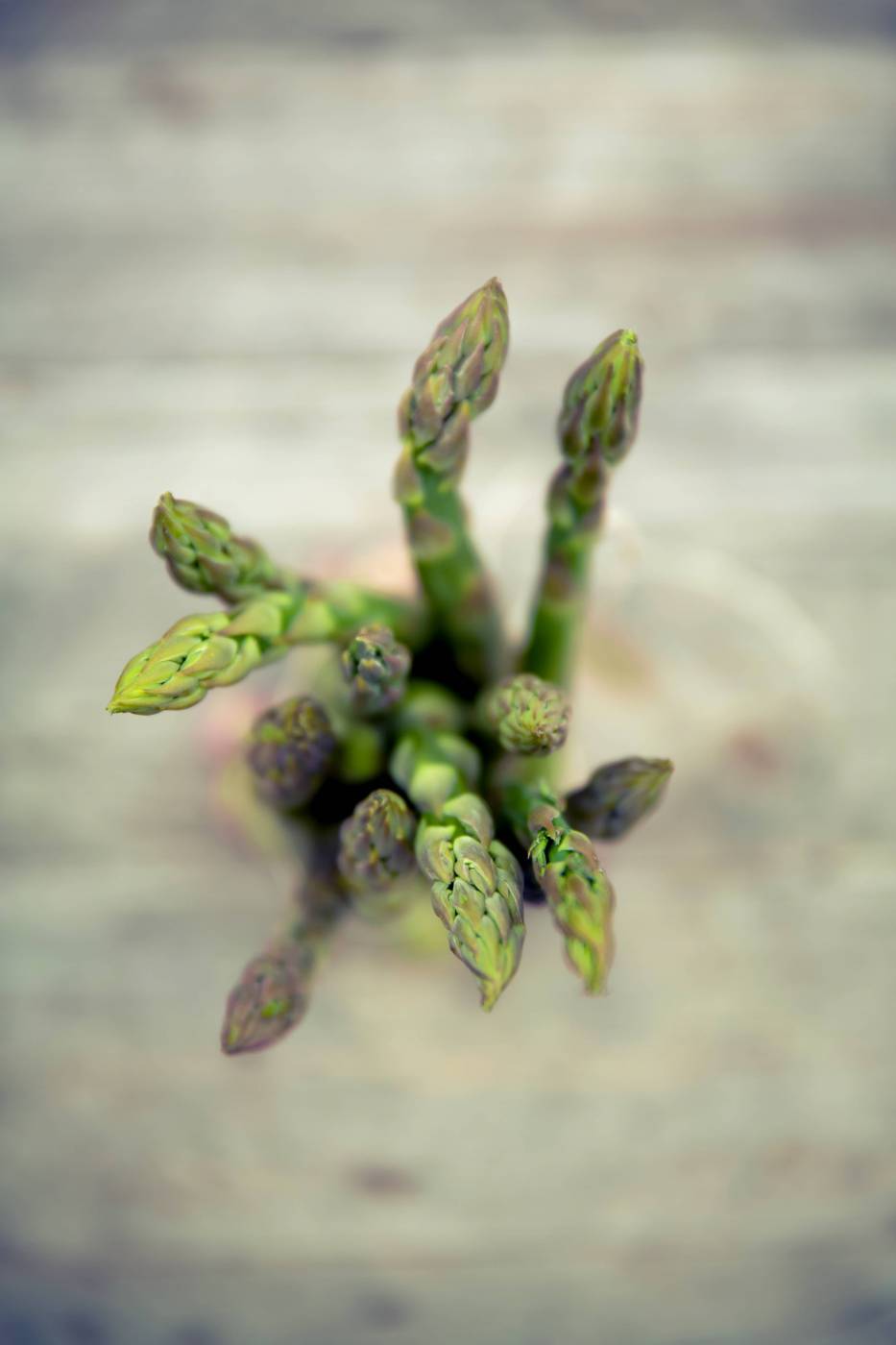 fresh green bio asparagus/ picture