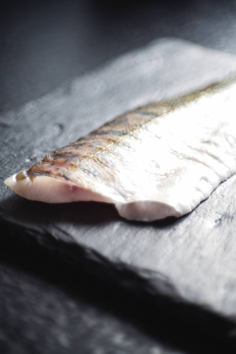 fresh salmon coalfish/ picture