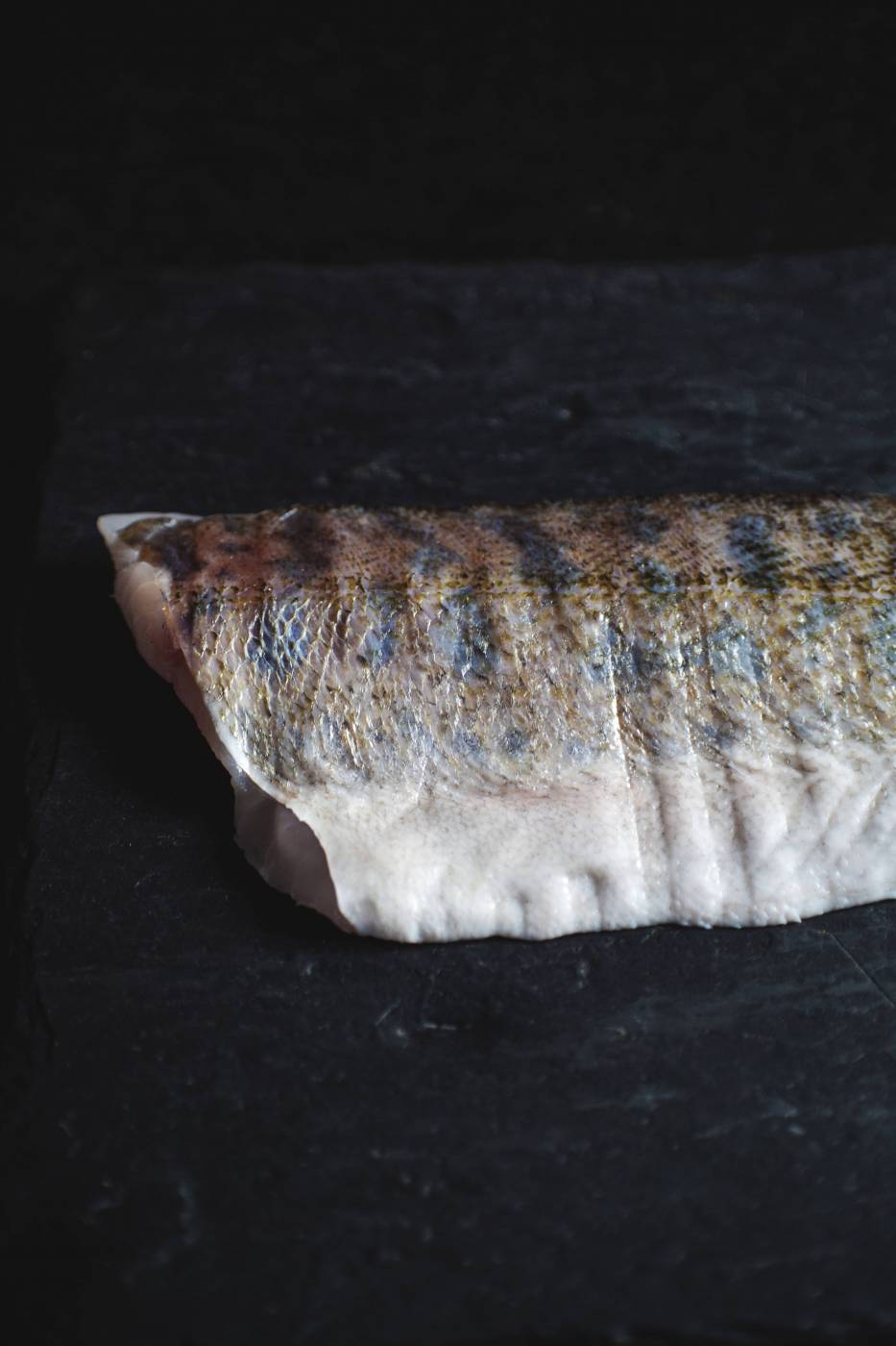 fresh salmon coalfish cooking/ picture