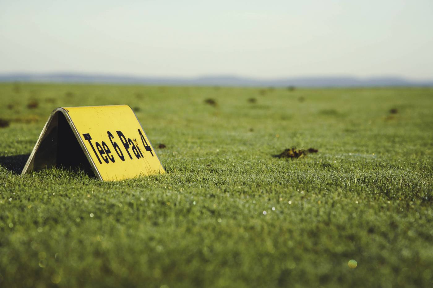 golf green tee par/ picture