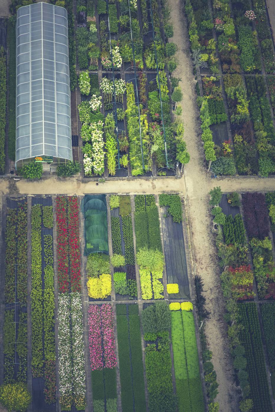 market garden aerial/ picture
