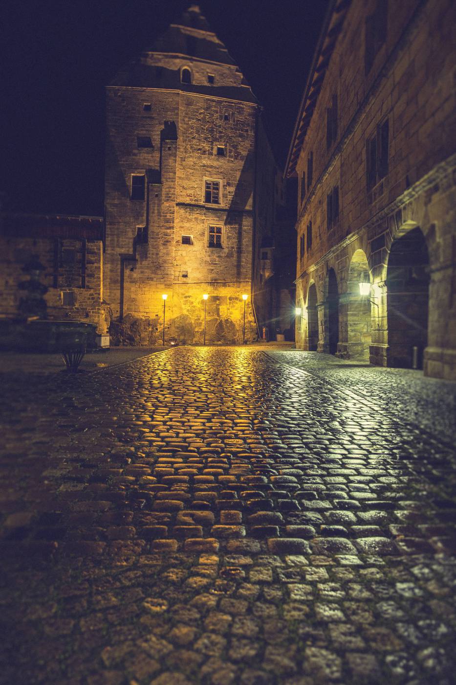 night at historical castle/ picture