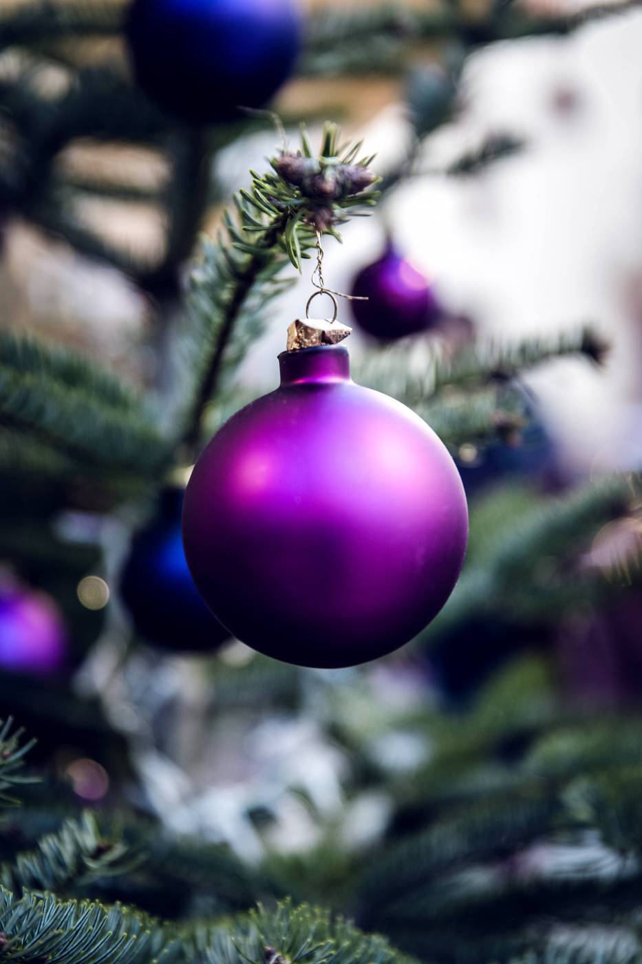 purple christmas bauble/ picture
