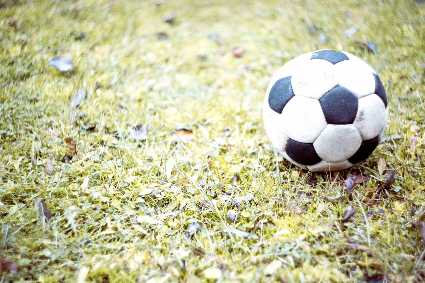 soccer shot kick goal/ picture