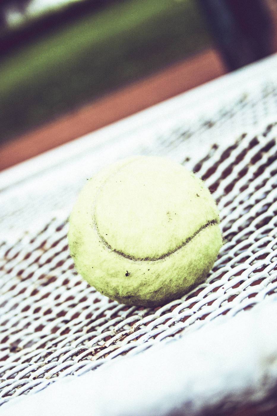 tennis court ball/ picture
