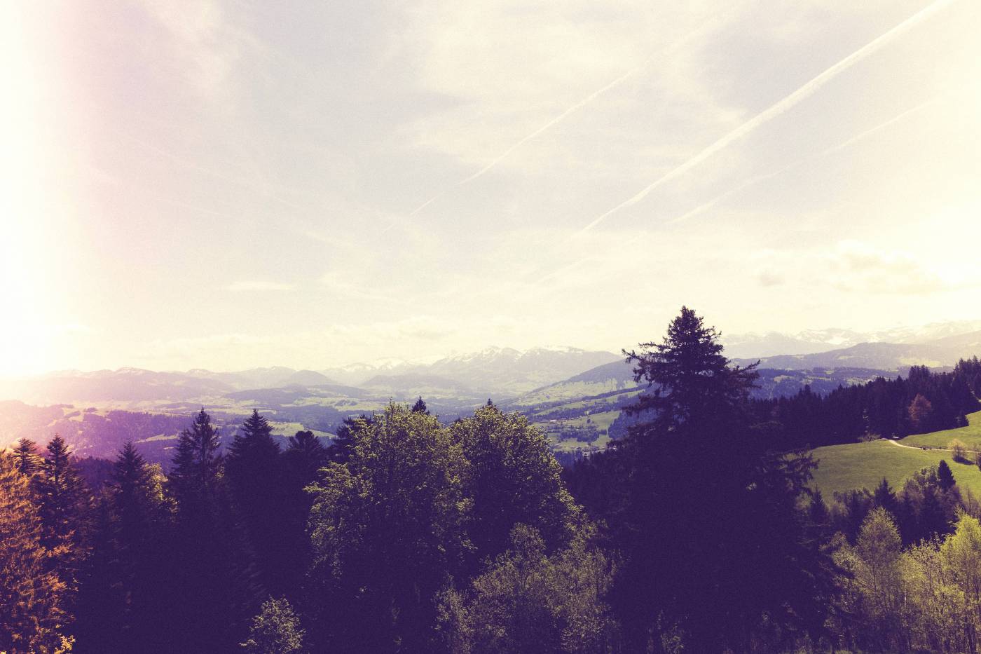 view mountain pfaender bregenz/ picture