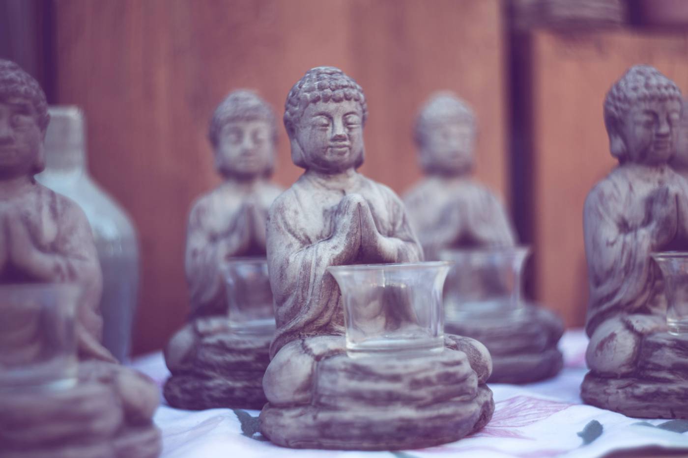 yoga meditation buddha/ picture