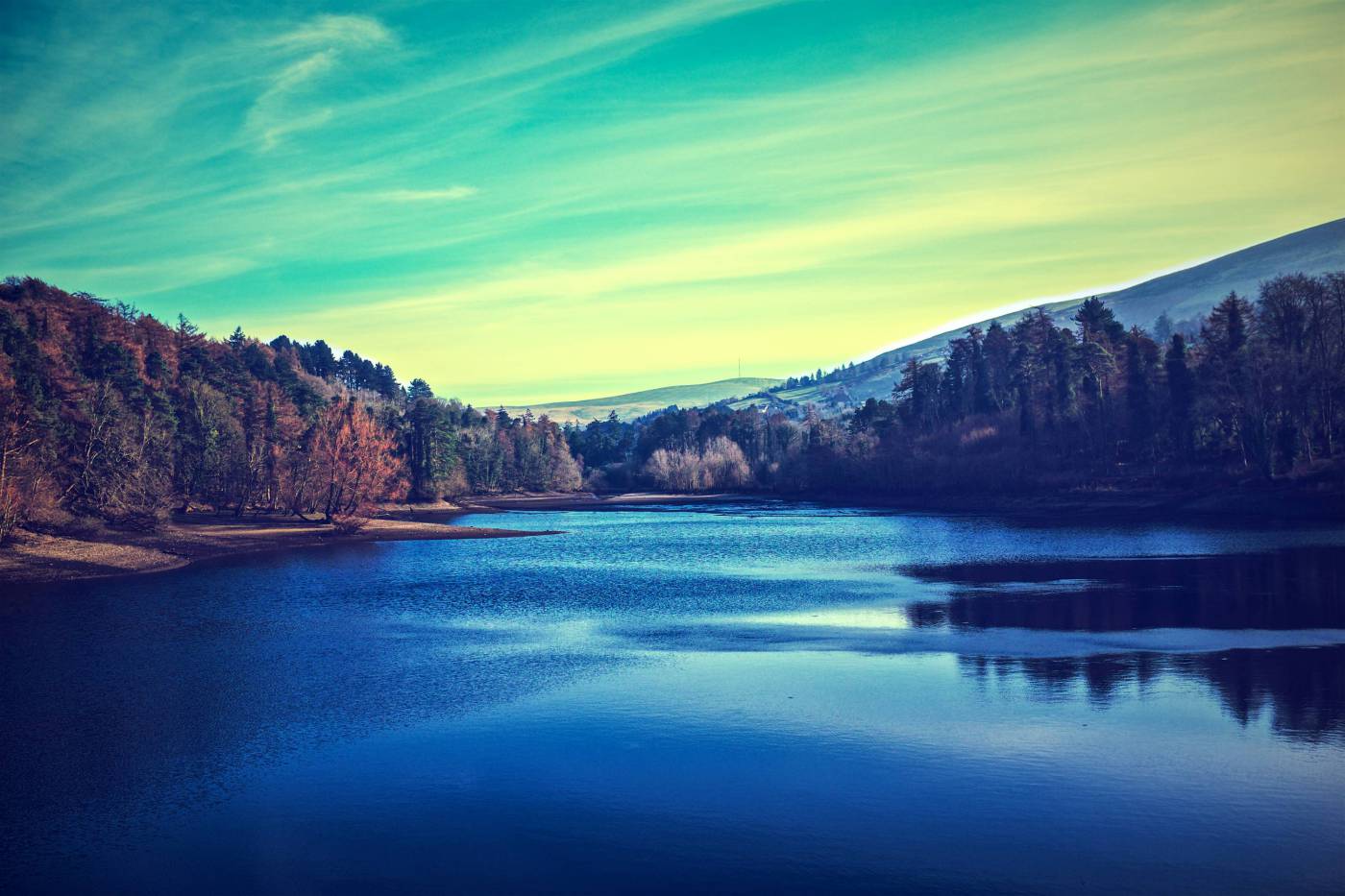 A Lake In A ?Forest?  picture