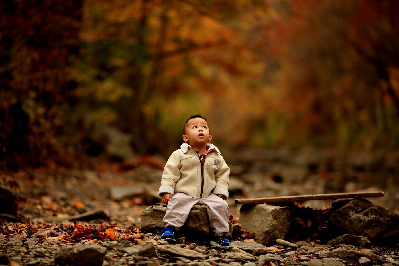 Autumn Child  picture