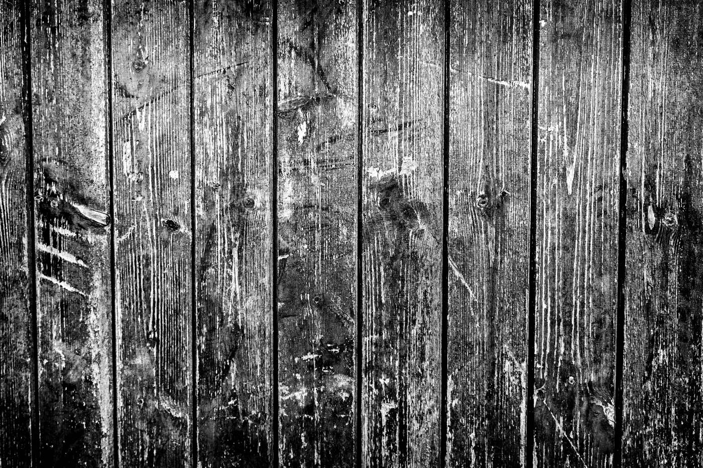 Monochrome Wood ?Texture?  picture