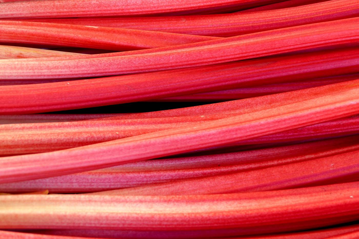 Rhubarb ?Texture?  picture