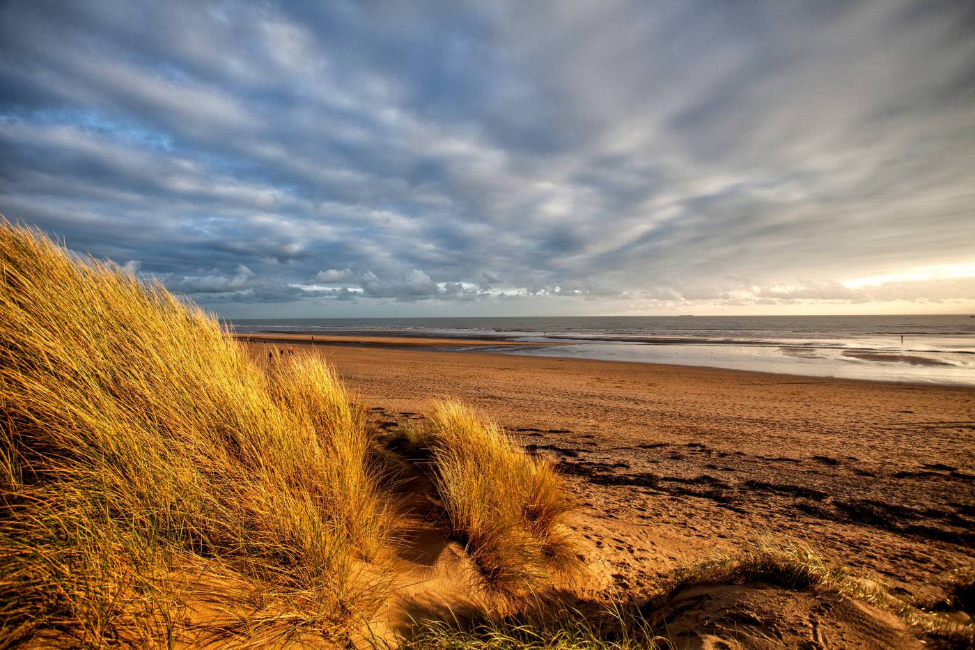 Sand Dunes  picture