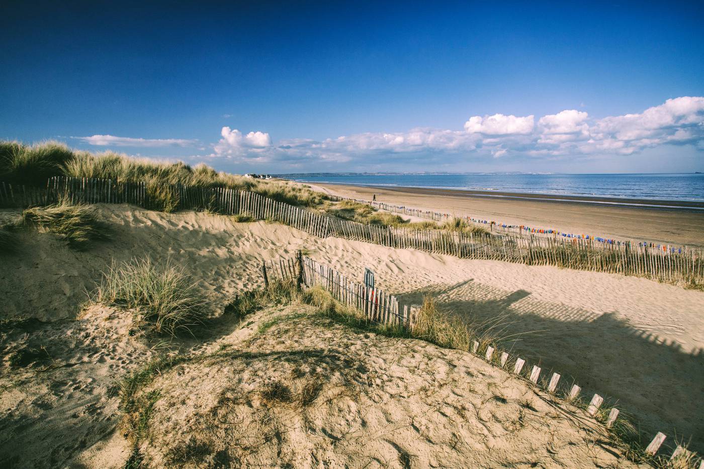 Sand Dunes  picture