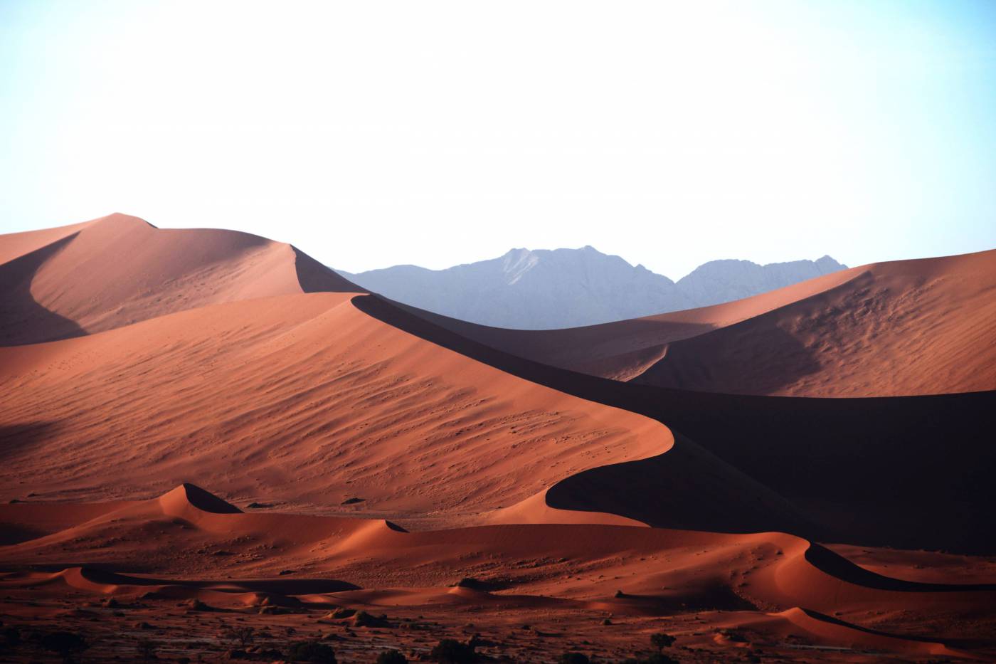 Sand Dunes in Desert  picture