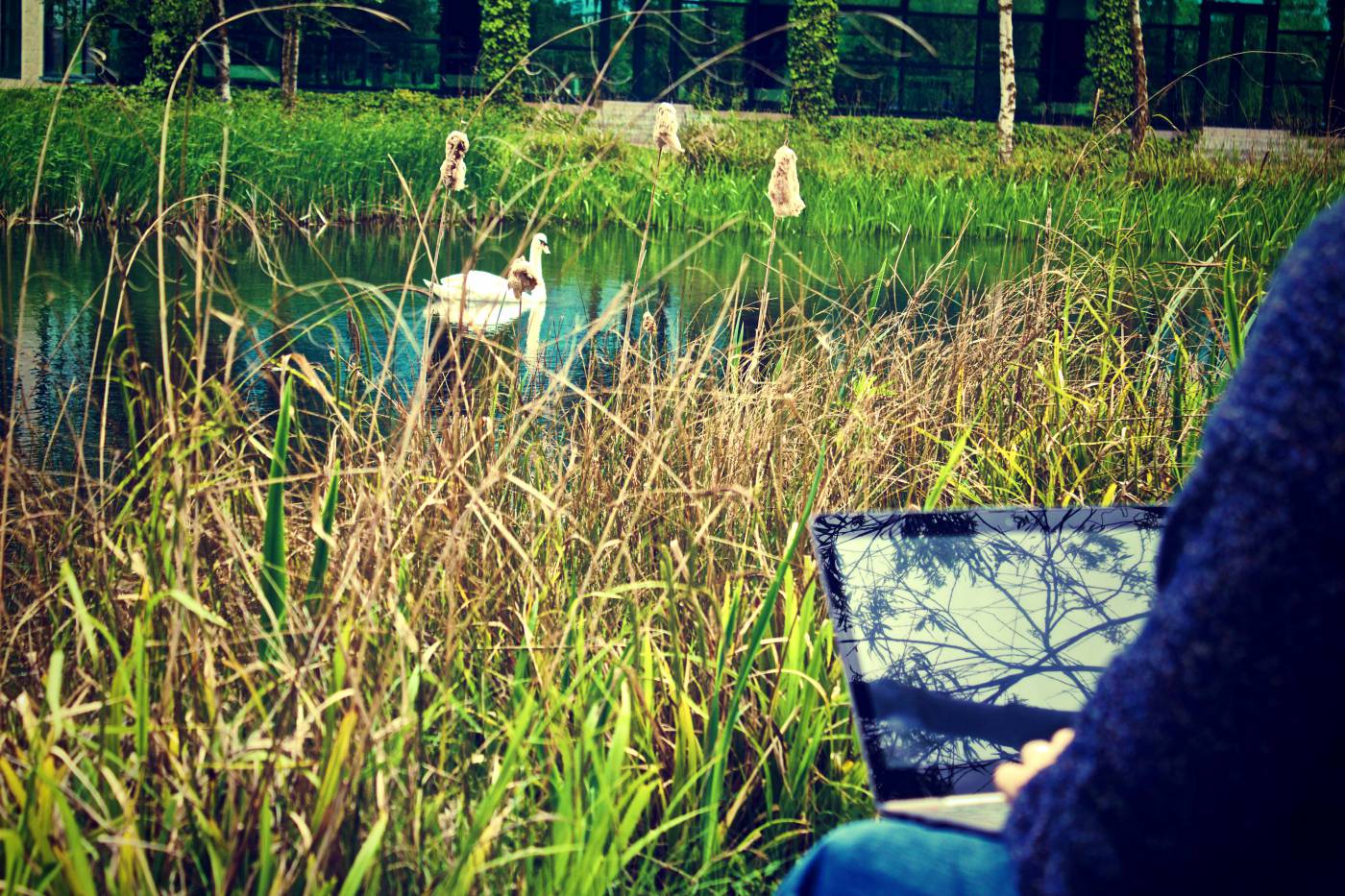 Man on Laptop Green  picture