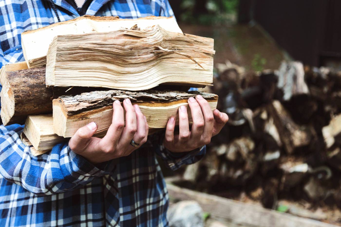 Carrying Firewood  picture