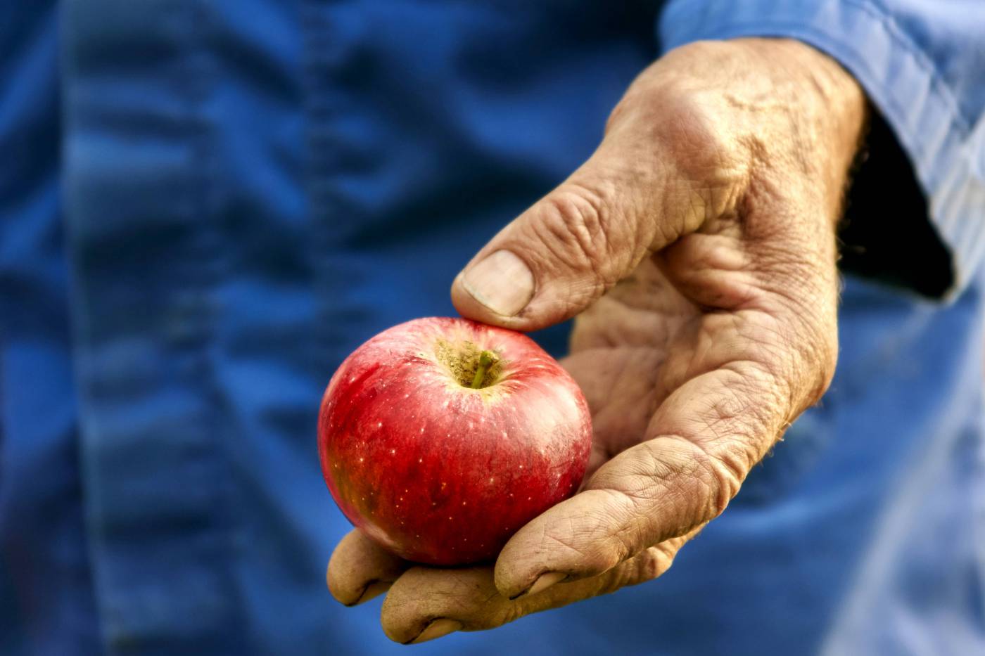 Elderly Hand  picture