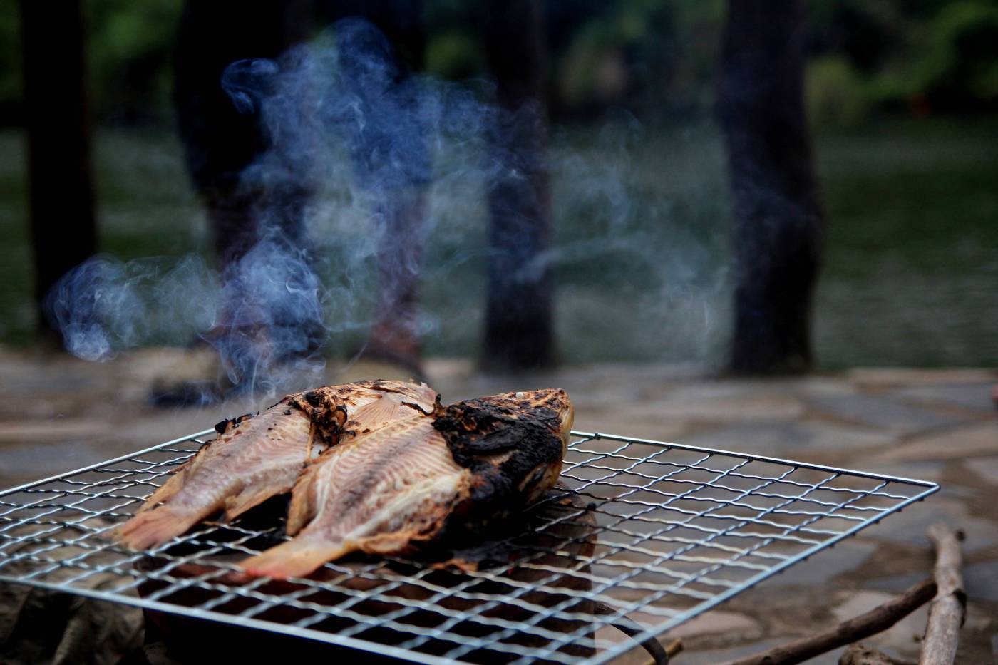 Fish on BBQ Grill  picture