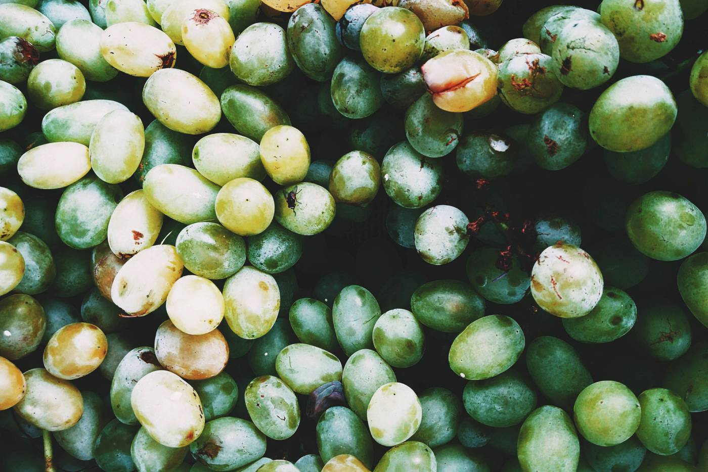 Fresh Green Grapes: Vibrant Fruit for Culinary Delights picture
