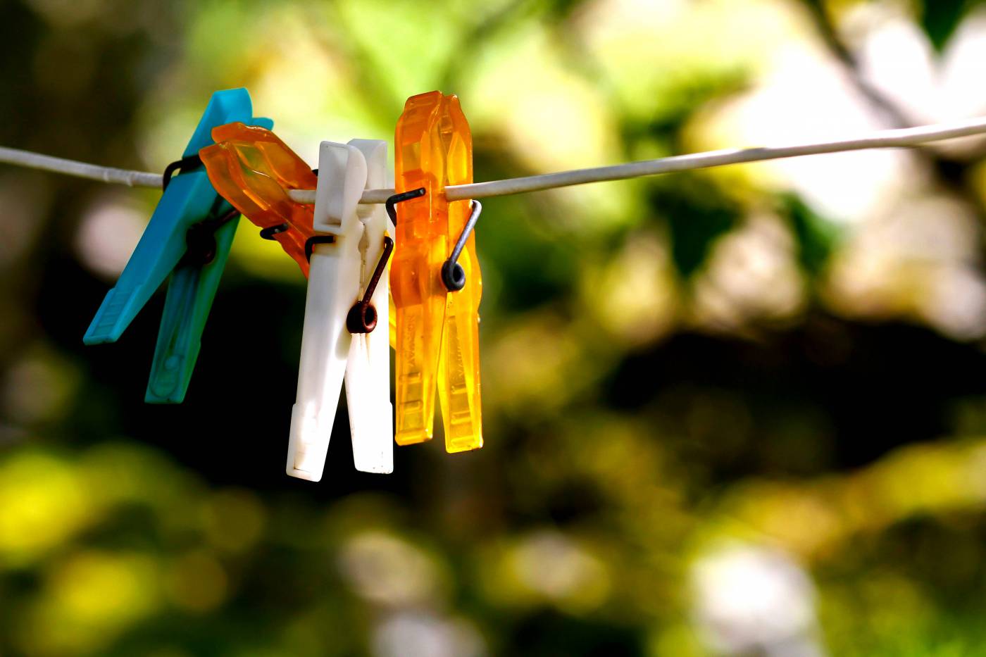 Laundry Pegs  picture