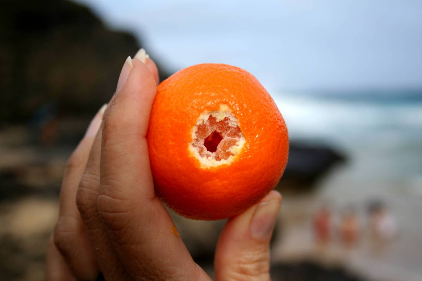 Person Holding Fruit  picture