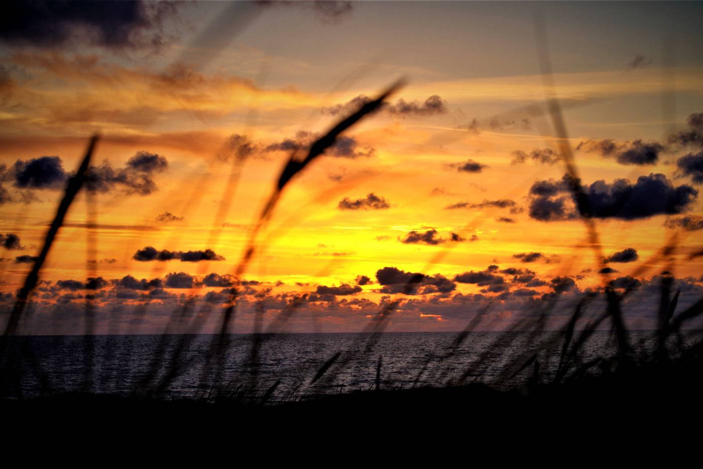 Seascape Sunset  picture