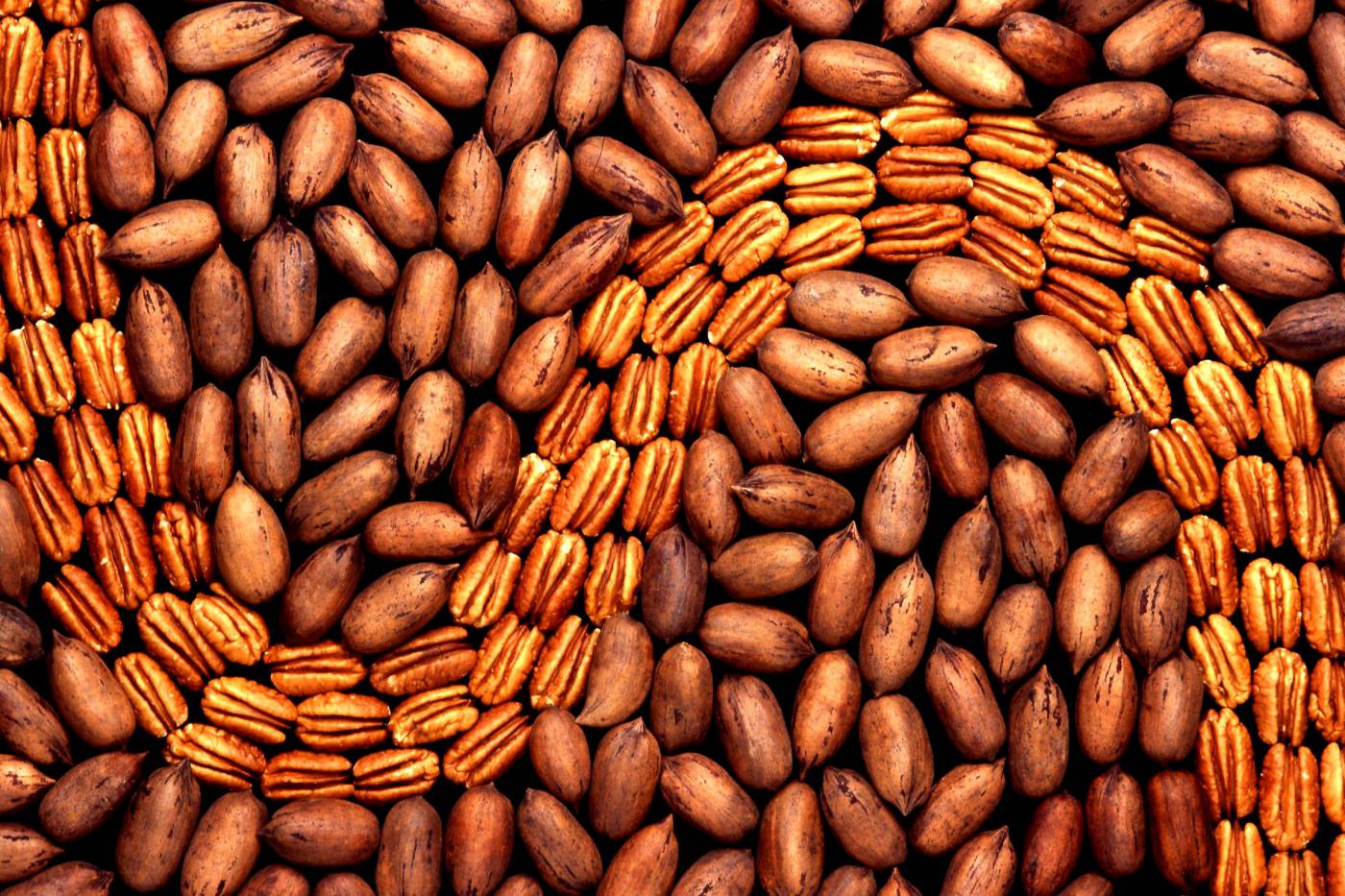 Peanuts Pattern - Creative and Unique Peanut Design for Textiles picture