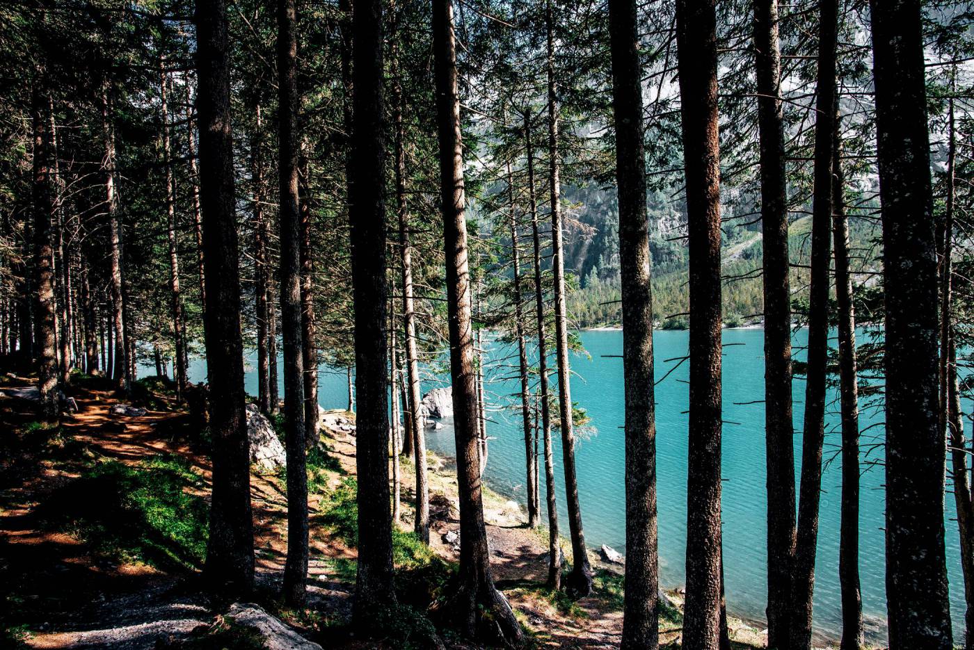 Blue Mountain Lake Through Trees  picture