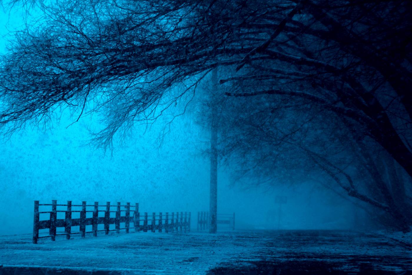 Winter Blues: Captivating Scenes of Frosty Landscapes picture