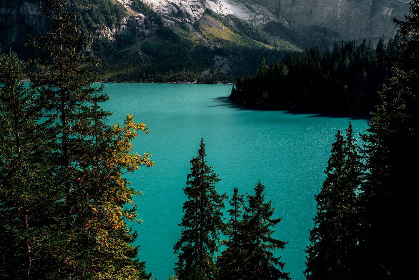 ?Winter? Lake, Mountains & Forest  picture