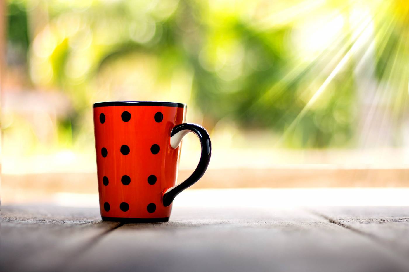 Coffee Cup in Garden  picture