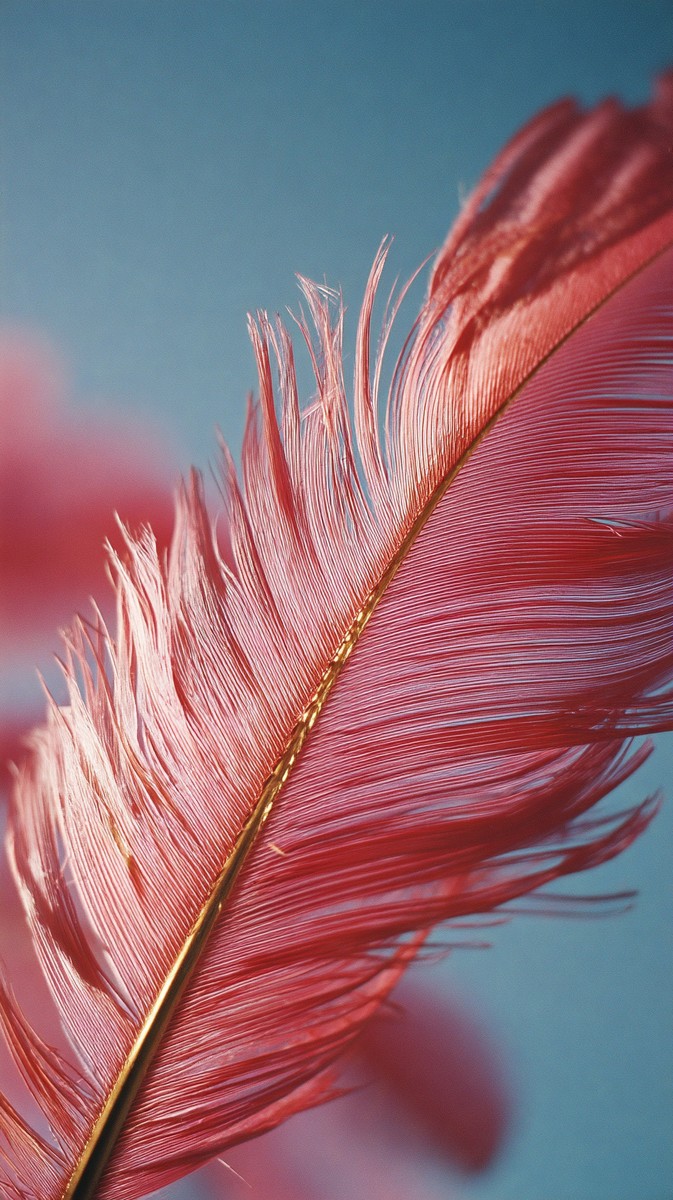 everglades roseate spoonbill pink feather detail 045ca90d 955e 4cd5 9601