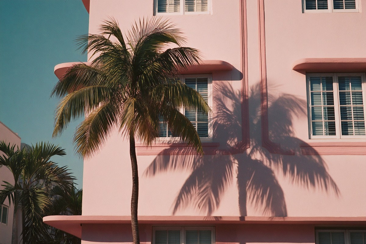 miami close macro palm tree shadow falling a77cdd74 3685 4809
