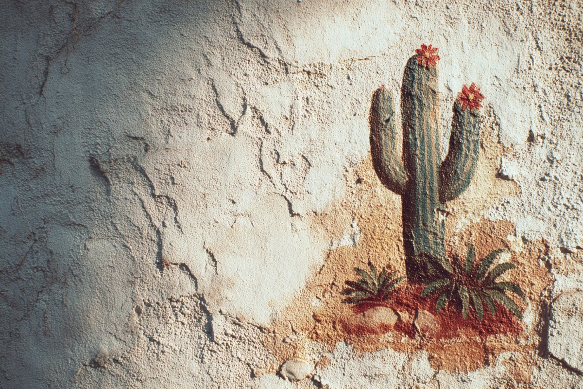 phoenix faded cactus mural stucco wall macro 55f8218d 2222 4176