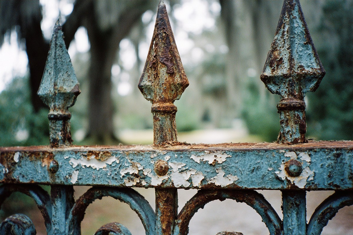 savannah wrought iron gate with chipped paint macr 3e41b939 daa0
