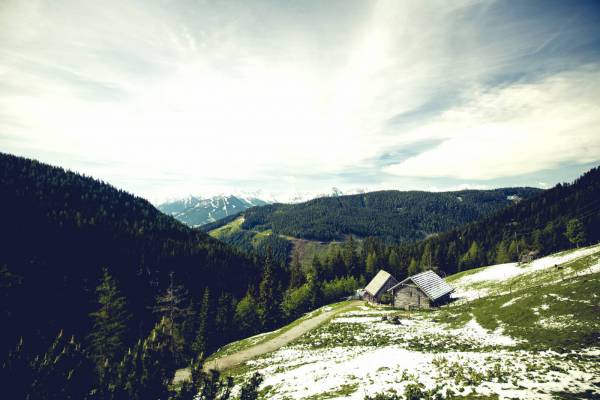 alpine cabin chalet lodge/