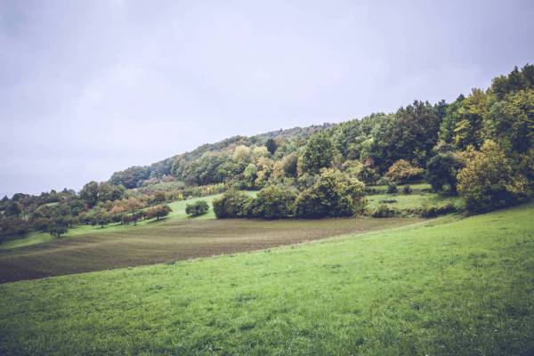 autumn farmland cropland/