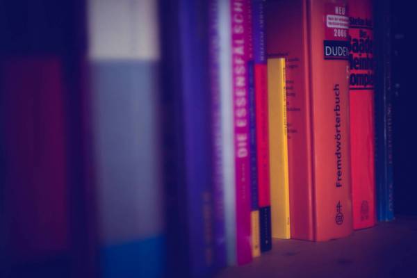 bookshelf literature bookcase/