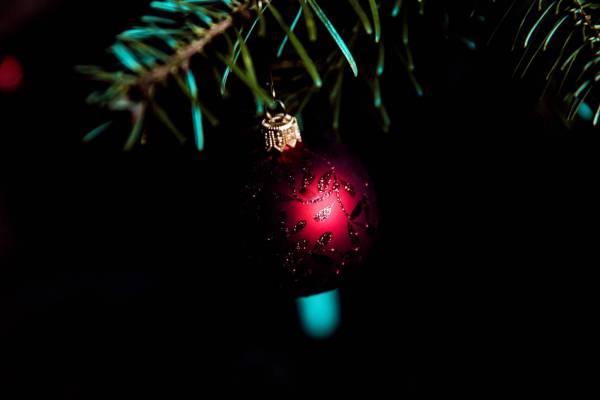 christmasy ball fir tree/