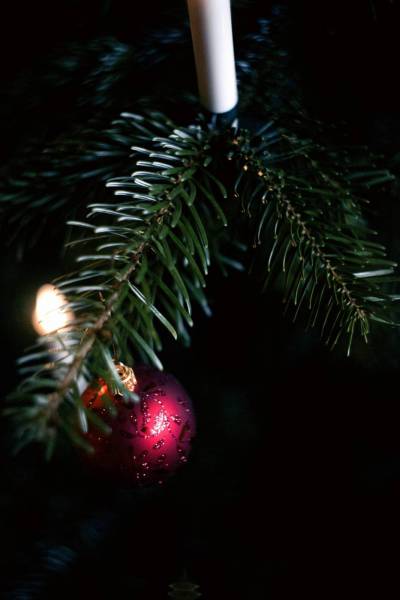 christmasy eve ball fir tree/