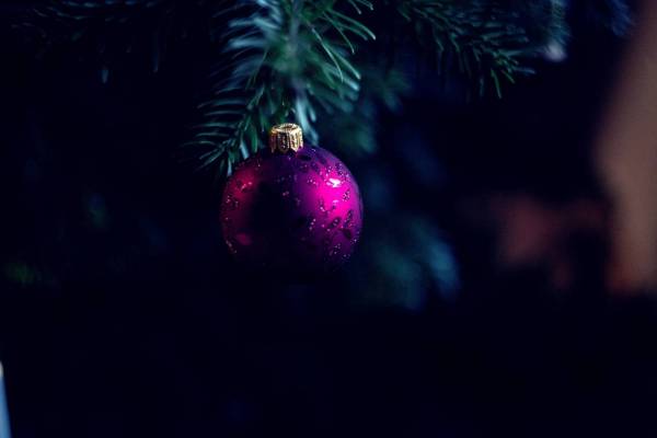 fir tree christmasy eve ball/