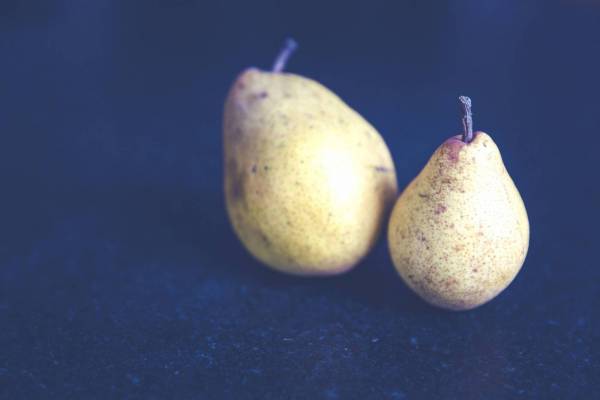 fresh bio crop pear/