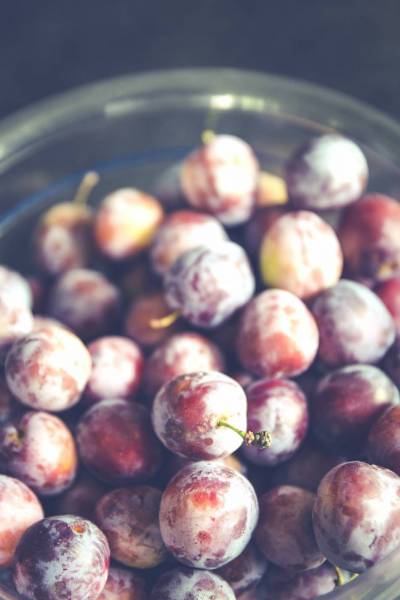 fresh bio plums/